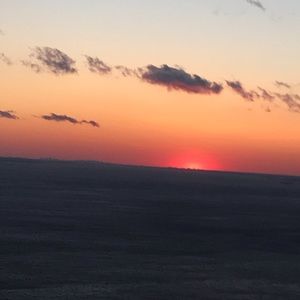 Meet your Posher, Suzanne